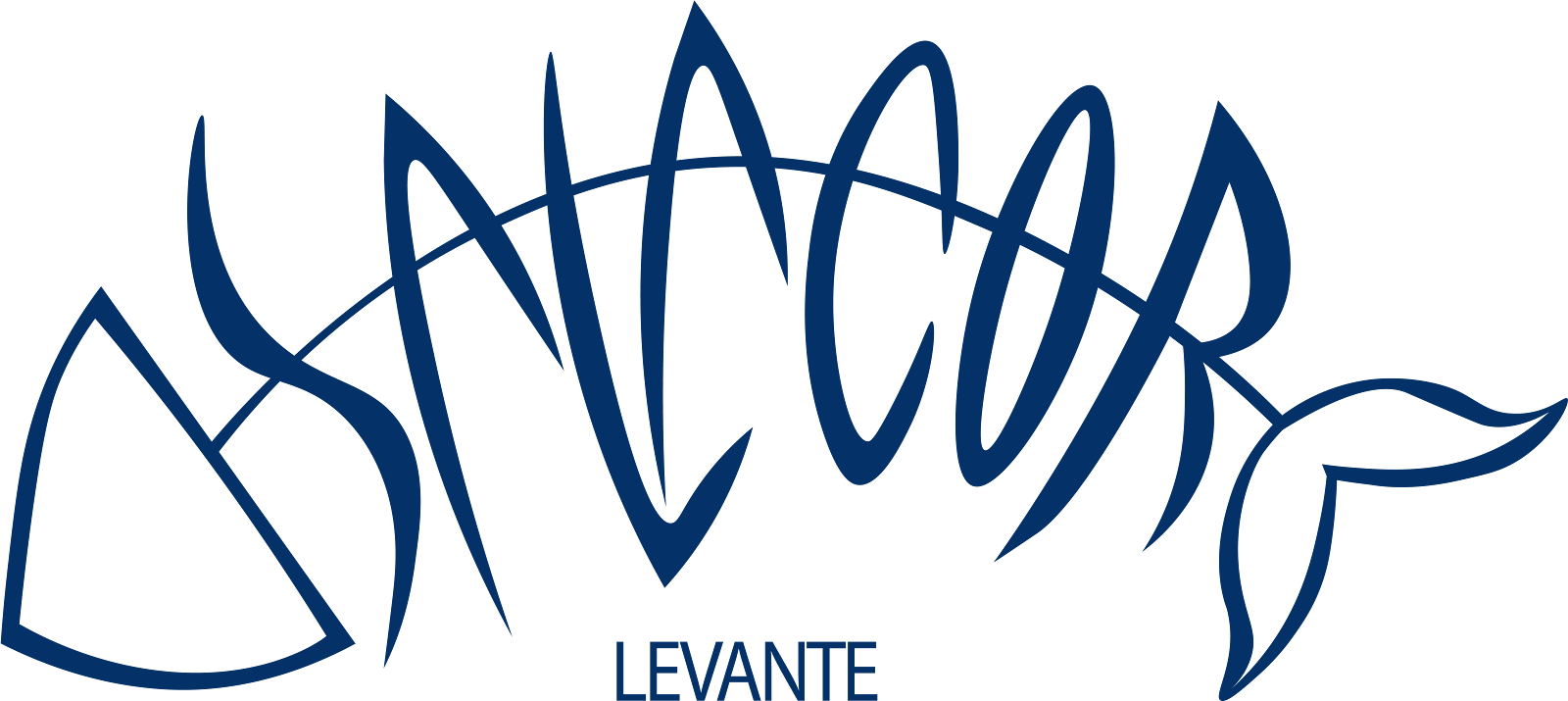 Salacor Levante - Bacalao artesanal desde 1990