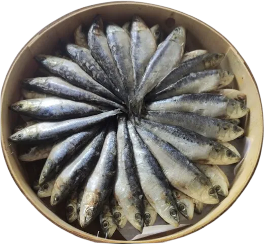 Sardinas salazón bota