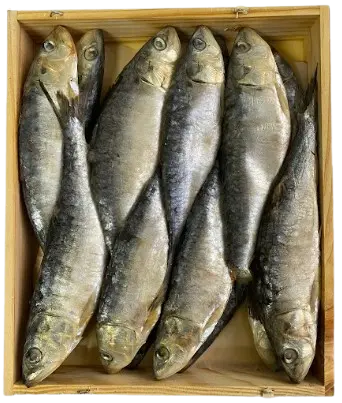 Sardinas salazón caja prensada